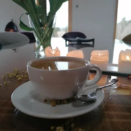 Beechtree Villa Izvoare (Harghita)